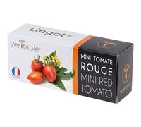 Lingot Mini Tomate Rouge Pour Potager Véritable