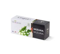 Lingot® Mizuna BIO - Compatible Potager d'Intérieur Véritable® et Exky® - Recharge prête à l'emploi - Substrat avec Graines Intégrées
