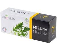 Lingot Mizuna Bio Pour Potager Véritable