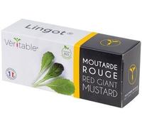 Lingot Moutarde Rouge Bio Pour Potager Véritable