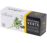 Lingot Moutarde Verte Bio Pour Potager Véritable