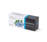 Lingot Myosotis - Recharge Prête À L'emploi