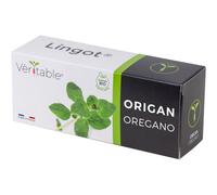 Lingot Origan Bio Pour Potager Véritable
