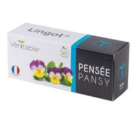 Lingot Pensée Tricolore Pour Potager Véritable