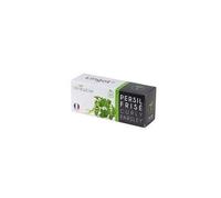 Lingot Persil Frisé Bio Pour Potager Véritable