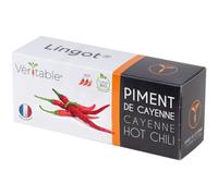 Lingot Piment De Cayenne Pour Potager Véritable
