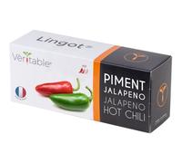 Lingot Piment Jalapeño Pour Potager Véritable