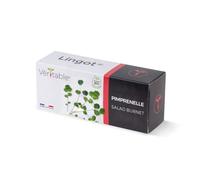 Lingot® Pimprenelle BIO - Compatible Potager d'Intérieur Véritable® et Exky® - Recharge prête à l'emploi - Substrat avec Graines Intégrées