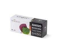 Véritable Lingot® Shiso Bicolore - Compatible Potager d'Intérieur et Exky® - Recharge prête à l'emploi - Substrat avec Graines Intégrées…