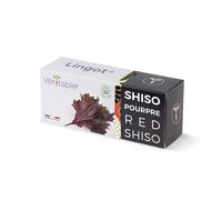 Lingot® Shiso Pourpre Bio - Compatible Potager d'Intérieur Véritable® et Exky® - Recharge prête à l'emploi - Substrat avec Graines Intégrées…