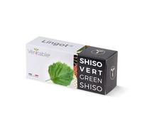 Lingot Shiso vert Véritable