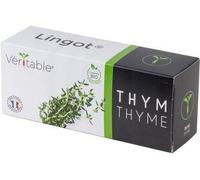 Lingot Thym Bio Pour Potager Véritable