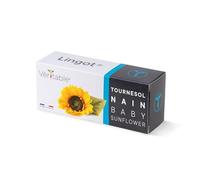 Lingot® Tournesol nain - Compatible Potager d'Intérieur Véritable® et Exky® - Recharge prête à l'emploi - Substrat avec Graines Intégrées…