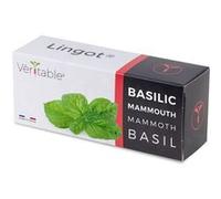 Lingot® Veritable Basilic mammouth G