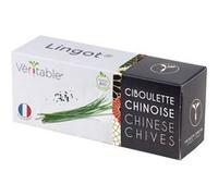 Lingot® Veritable Ciboulette Chinoise BIO G