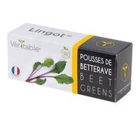 Lingot Véritable Pousses de Betterave G