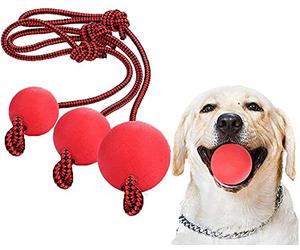 Linian 3 pièces Jouets pour Petits Chiens Chat Chiot, Élastique Naturel Solide en Caoutchouc Solide Chiens