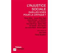 L'injustice sociale, quelles voies pour la critique ?