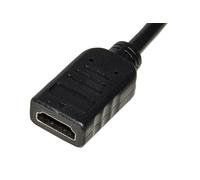 Link Câble adaptateur DisplayPort mâle vers HDMI femelle LKADAT20 0,15 m Noir 4Kx2K