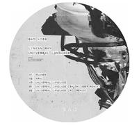 Linkan Ray - Universal Language (Rod/Shlomi Aber