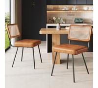 LINKHOO Chaise de Salle à Manger en Similicuir (2 pièces), Fauteuil Lounge en rotin, de Maquillage, Ergonomique, légère de Luxe Chaise rétro