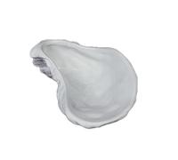 LINKIO Assiette de Grignotage Assiette à huîtres en céramique, vaisselle d'hôtel Restaurant, assiette créative blanche, Sushi, plat tremper créatif Assiettes de Dessert