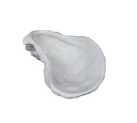 LINKIO Assiette de Grignotage Assiette à huîtres en céramique Vaisselle Hôtel Restaurant créative blanc pur sushi collations Petite assiette Assiettes de Dessert