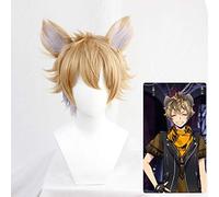 LINLINCD Perruque Cosplay Wig Game Twisted Wonderland Le Roi Lion Ruggie Cosplay Perruque Adulte Hommes Femmes Lin Cheveux Courts avec Oreilles Perruque Perruque avec Oreilles