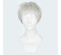LINLINCD Perruque de cosplay - 30 cm - Cheveux synthétiques courts et lisses - Overwatch Soldat 76 - Pour homme et garçon - Costume de fête - Gris argenté - Soldat 76