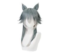LINLINCD Perruque de cosplay anime Beasters Legoshi - Belle perruque de loup gris - Cosplay - Costume d'animaux - Cherryton Academy - Halloween - Cosplay