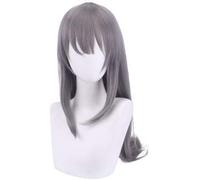 LINLINCD Perruque de cosplay Anime Coser Anime Sakurajima Mai Gris Cheveux longs Comic-Con Noël Carnaval Halloween Fête Quotidien Hommes et Femmes Mode Perruque
