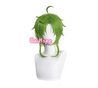 LINLINCD Perruque de cosplay anime Sylphiette Greyrat Cosplay Réincarnation au chômage Cosplay Mushoku Tenseei Perruque verte Cosplay Anime Anime Perruques synthétiques résistantes à la chaleur