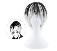 LINLINCD Perruque de cosplay Tokyo Ghoul Kaneki Ken - Cheveux synthétiques courts et droits - Gris argenté - Pour cosplay - Résistance à la chaleur - Fibre Tokyo Ghoul uniquement
