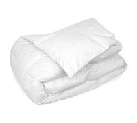 Linnea Couette 300x240 cm Hiver Picardie garnissage Naturel Duvet de Canard 500 g/m2