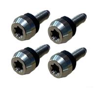 Linnkyfloa Lot de 4 boulons de poids en acier inoxydable M5 pour TaylorMade M1 M2 pour têtes de club M3 M4 M5 compatibles avec manchon adaptateur SIM 1 g Swing Balance