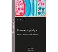 L'innovation publique: Repères et retour d'expérience en territoire