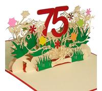 LINPOPUP®, Carte d'anniversaire pop-up - Carte d'anniversaire - Carte de vœux pop-up - Carte de vœux 3D - Avec enveloppe - Pour femmes, filles, hommes, amis - 75