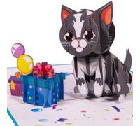 LINPOPUP® N291 Carte pop-up chat - Carte d'anniversaire 3D avec enveloppe - Carte de vœux pour femme avec motif de chat - Cadeau pour les amoureux des chats - Pour anniversaire d'enfant fille