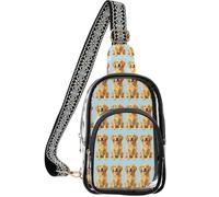 linqin Sac banane transparent pour spectateurs de concert avec poche avant zippée