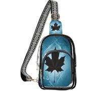 linqin Sac banane transparent pour spectateurs de concert avec poche avant zippée
