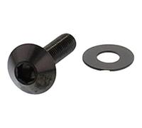 Linsenschraube Pro Bolt M5 x 0,8 20 mm Edelstahl A4 Noir