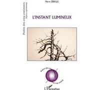 L'instant lumineux - Pierre Zirkuli - L'harmattan - broché - Poésie