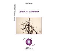 L'instant lumineux - Pierre Zirkuli - L'harmattan - broché - Poésie