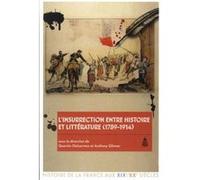 L'insurrection entre histoire et littérature (1789-1914) Quentin Deluermoz (Auteur), Anthony Glinoer (Auteur)