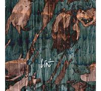 Lint - Then They Came for Us [Import]