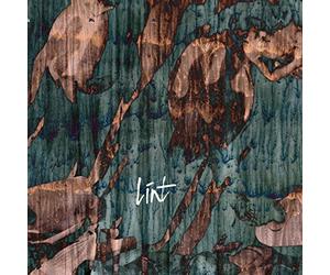 Lint - Then They Came for Us