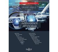 L'intelligence artificielle - Grand Angle 2019