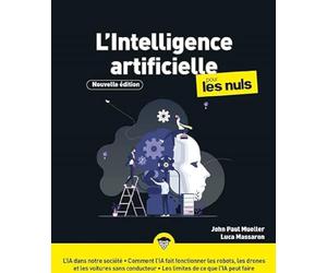 L'intelligence artificielle pour les Nuls, Nouvelle édition: Découvrir les bases de l'intelligence artificielle, Appréhender les enjeux de cette révolution technologique, connaître les limites de l'IA