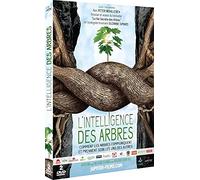 L'Intelligence des Arbres – DVD – Occasion