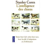 L'intelligence des chiens : Testez leur QI selon leur race et leur faculté d'adaptation et d'obéissance